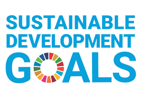 New CSR - SDG