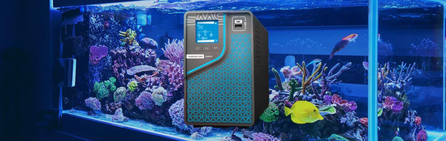 aquarium