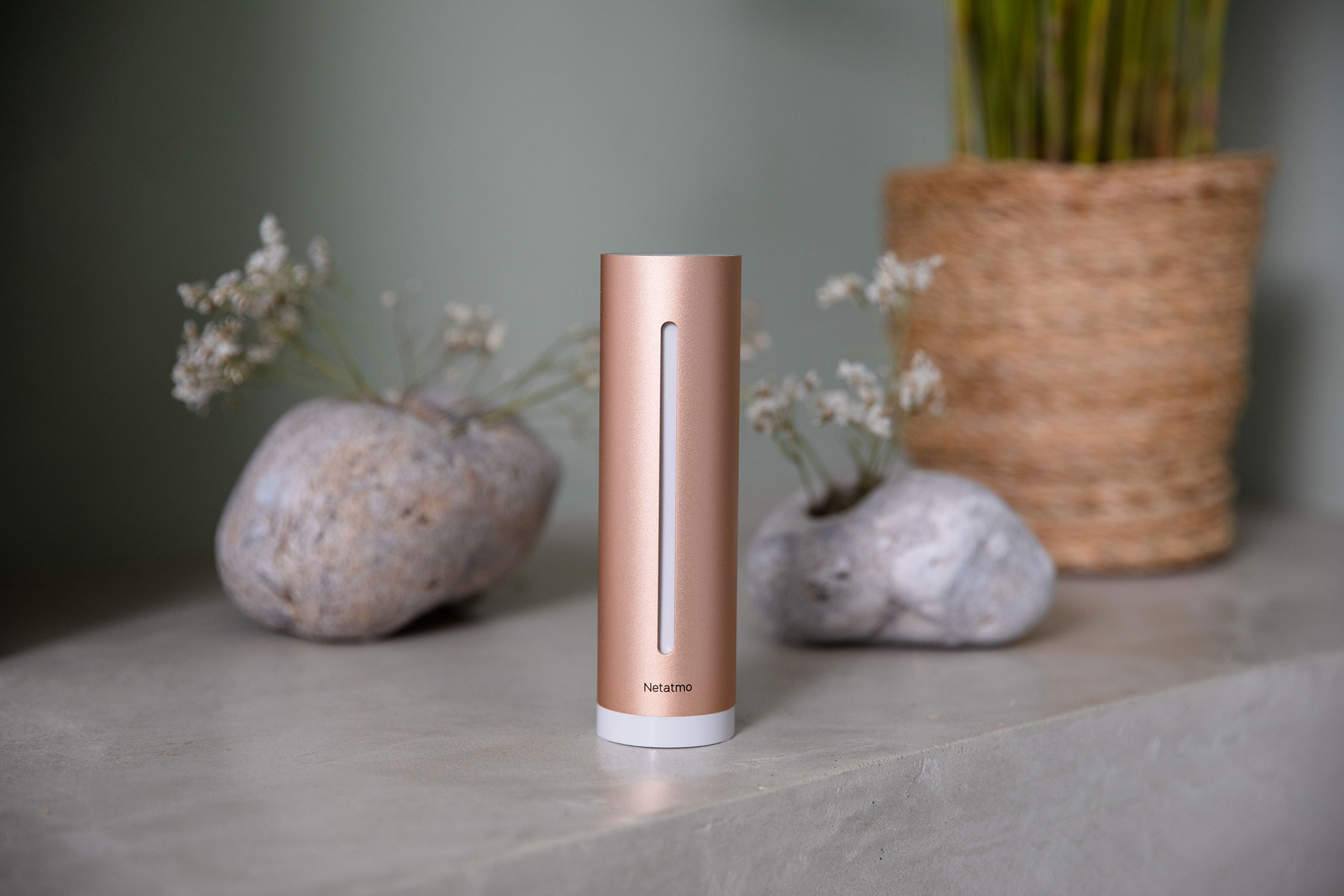 Smart Indoor Air Quality Monitor