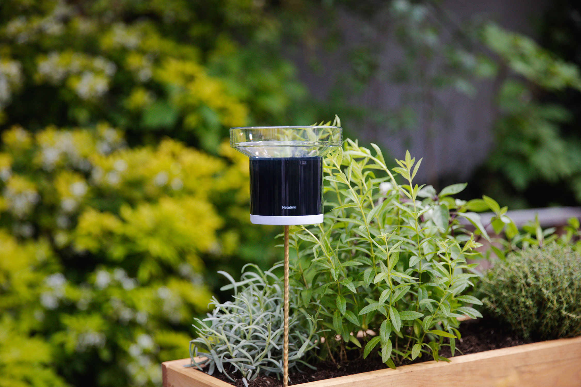 Smart Rain Gauge